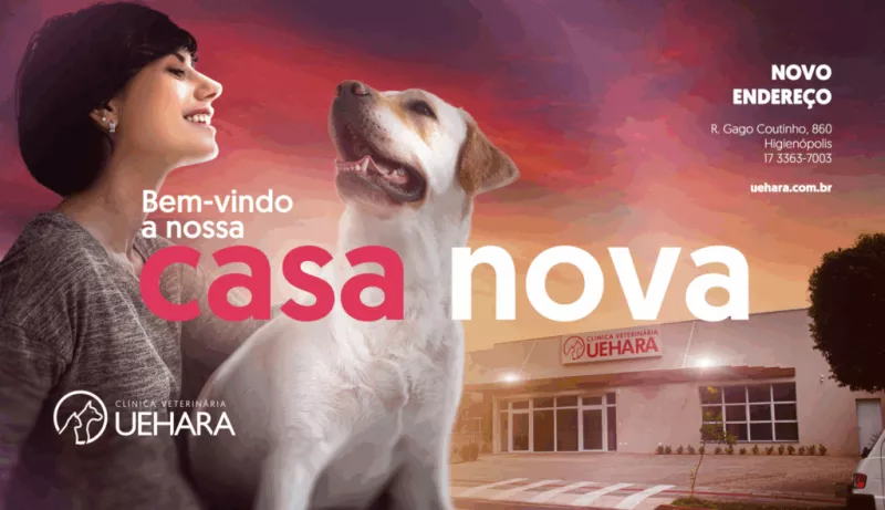 Case Agência AO4 - Casa Nova